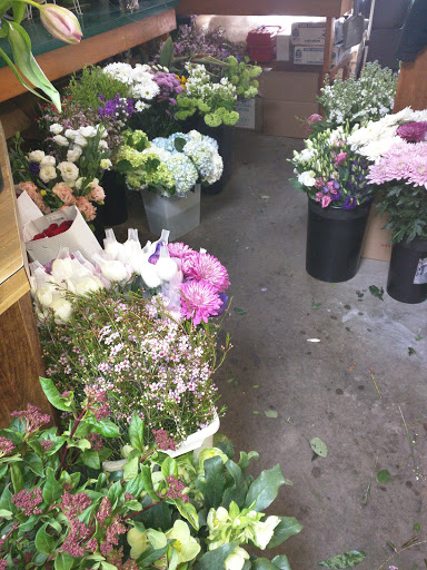 Florist «Chaves Gardens Inc», reviews and photos, 935 E Main Rd, Middletown, RI 02842, USA