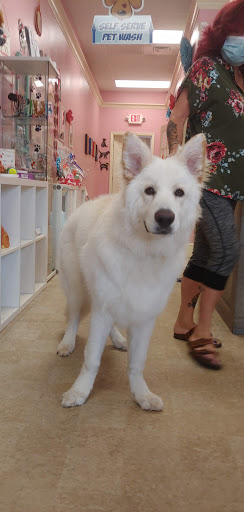 Pet Groomer «Furry Tails Pet Grooming», reviews and photos, 865 Cypress Pkwy, Poinciana, FL 34759, USA