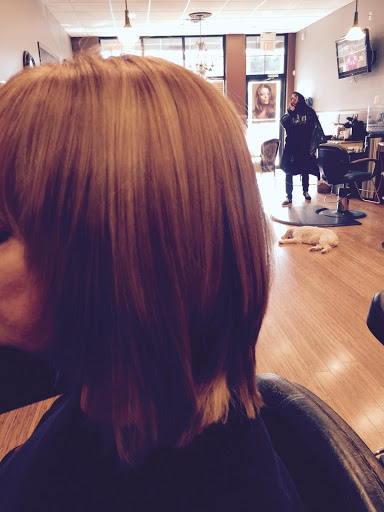 Beauty Salon «New Concepts Hair Salon», reviews and photos, 44 Manchester Ave # C, Forked River, NJ 08731, USA