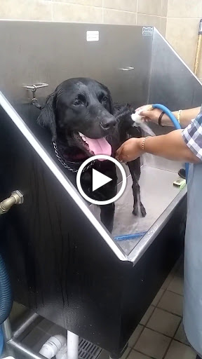 Pet Supply Store «Pet Supplies Plus», reviews and photos, 3701 S Orlando Dr, Sanford, FL 32773, USA