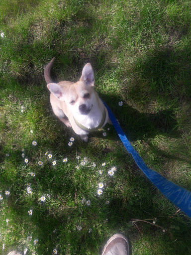 Park «Lundeen Park», reviews and photos, 10020 Lundeen Park Way, Lake Stevens, WA 98258, USA