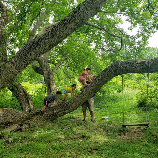 Non-Profit Organization «Blue Ridge Center For Environmental Stewardship», reviews and photos, 11661 Harpers Ferry Rd, Purcellville, VA 20132, USA