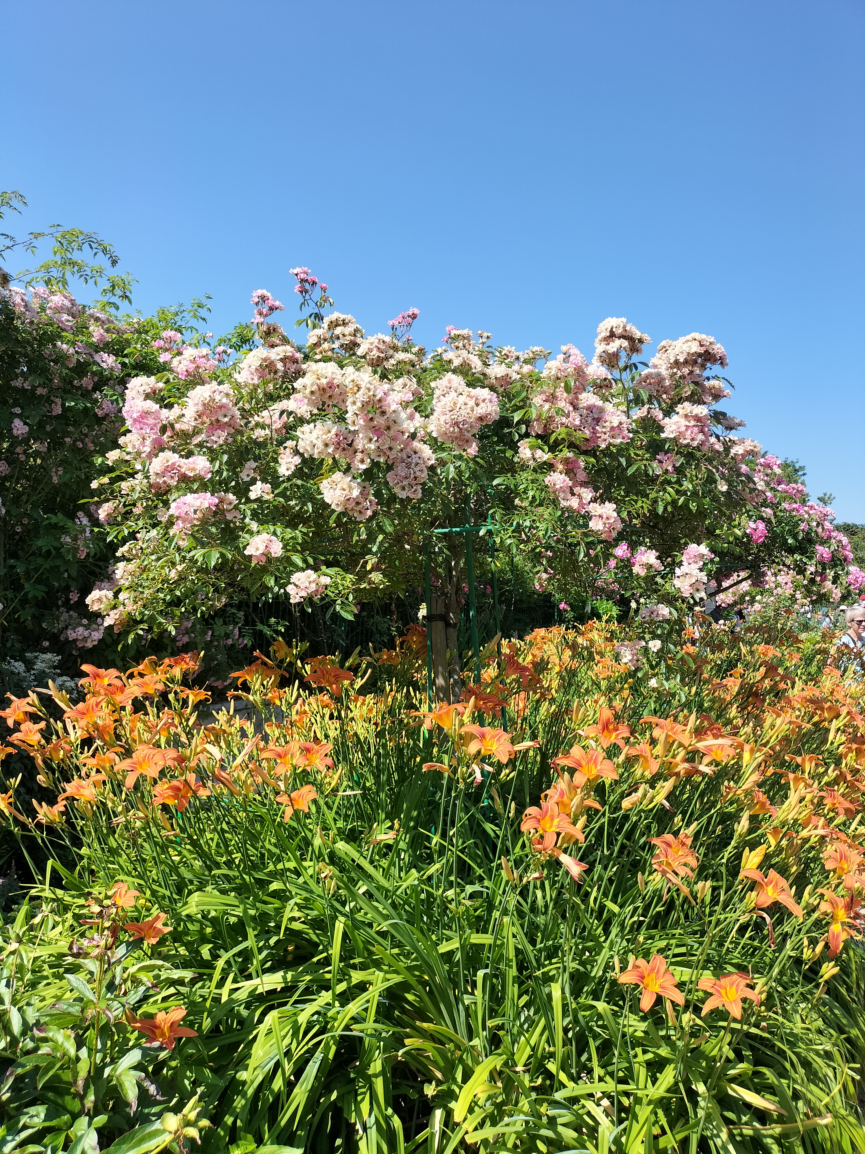 Photo n° 6 de l'avis de didier.e fait le 15/06/2023 à 13:38