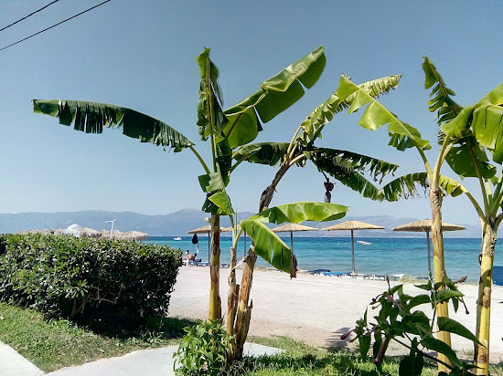 Paralia Digelotika III