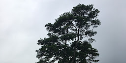 City Park Golf Course photo taken 8 years ago