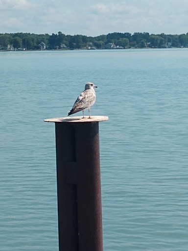 Park «Walter & Mary Burke Park», reviews and photos, 36300 Front St, New Baltimore, MI 48047, USA