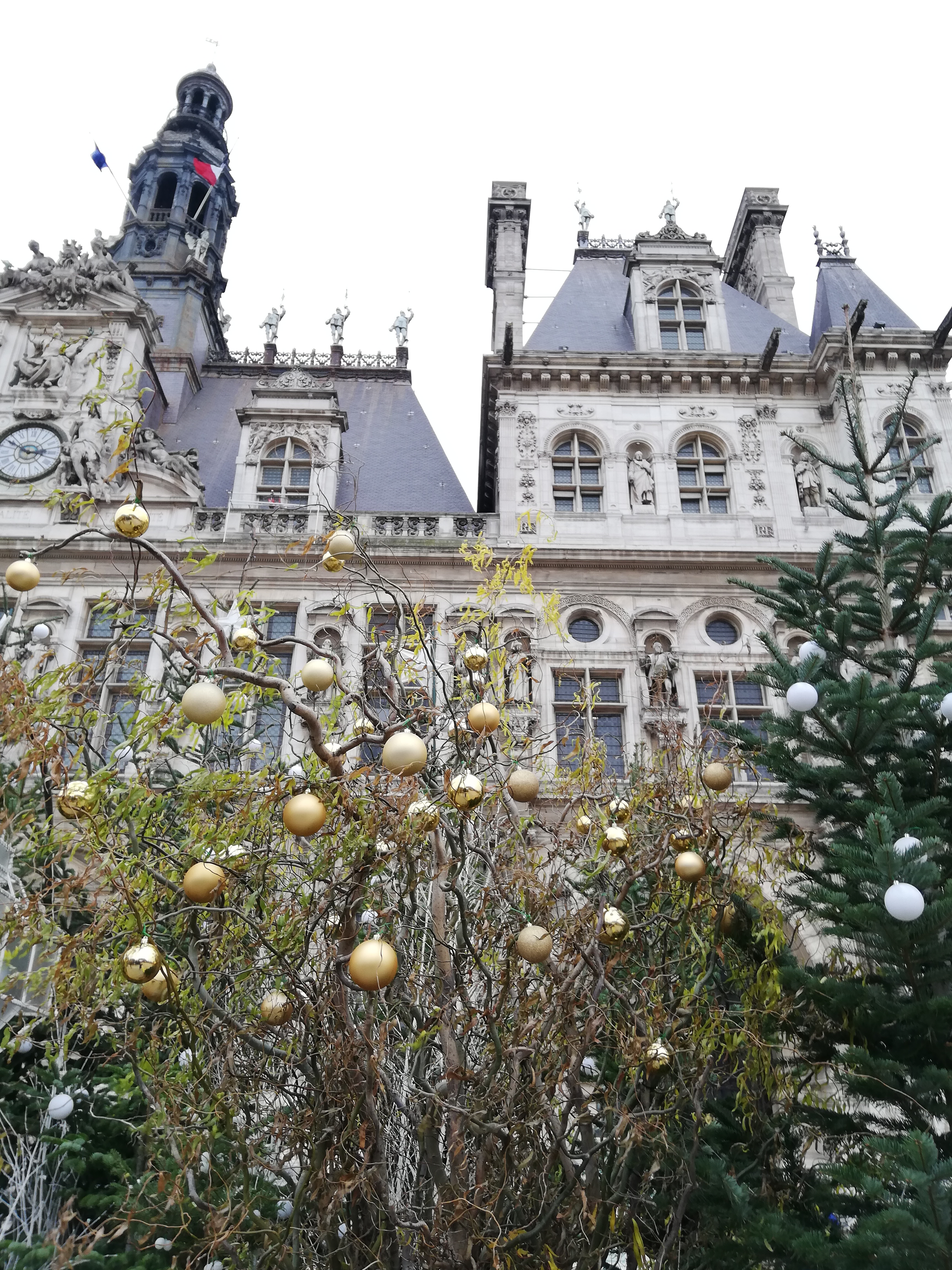 Photo n° 3 de l'avis de catherine.a fait le 28/12/2020 à 08:59