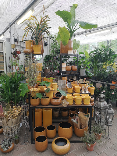 at købe indendørs planter København ※TOP 10※