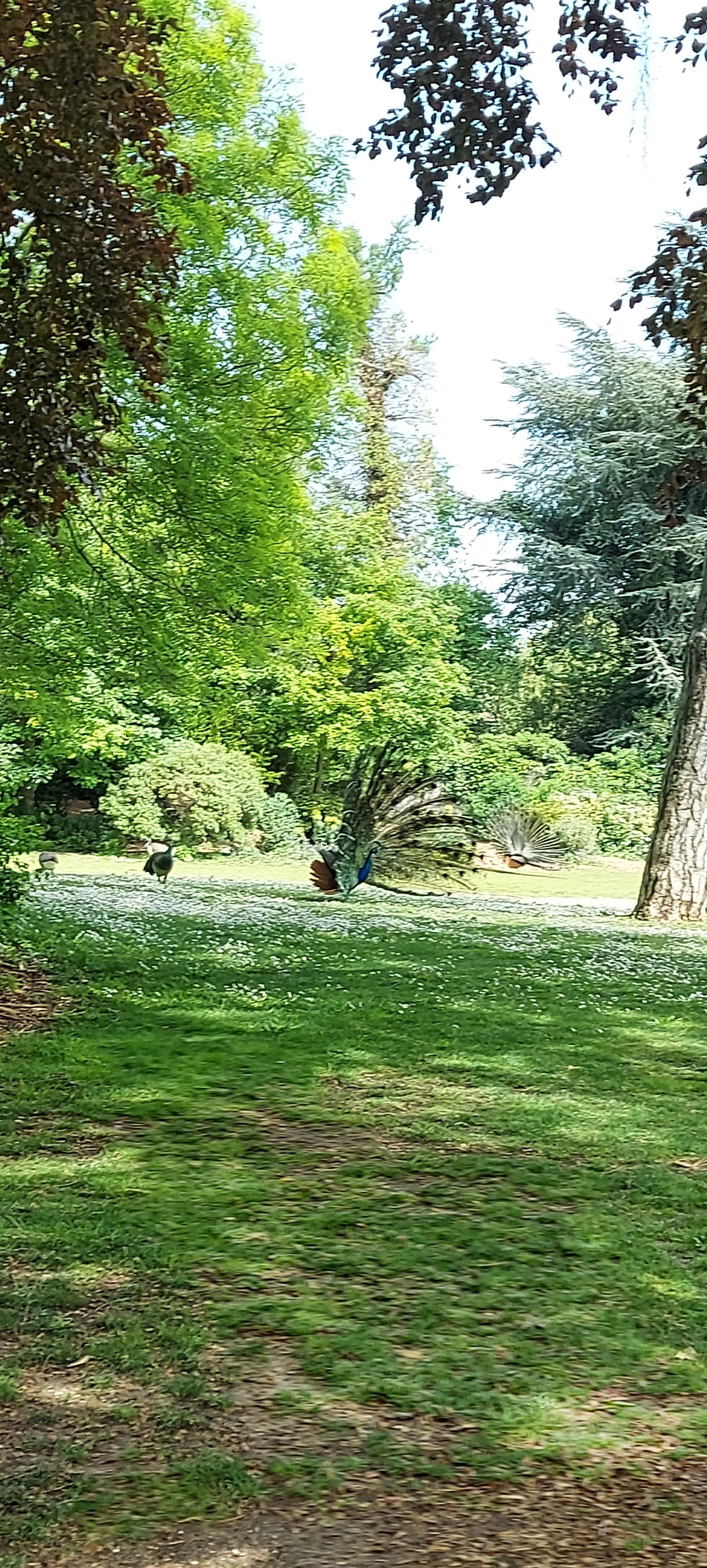 Photo n° 15 de l'avis de gwadilina.l fait le 12/05/2022 à 00:30
