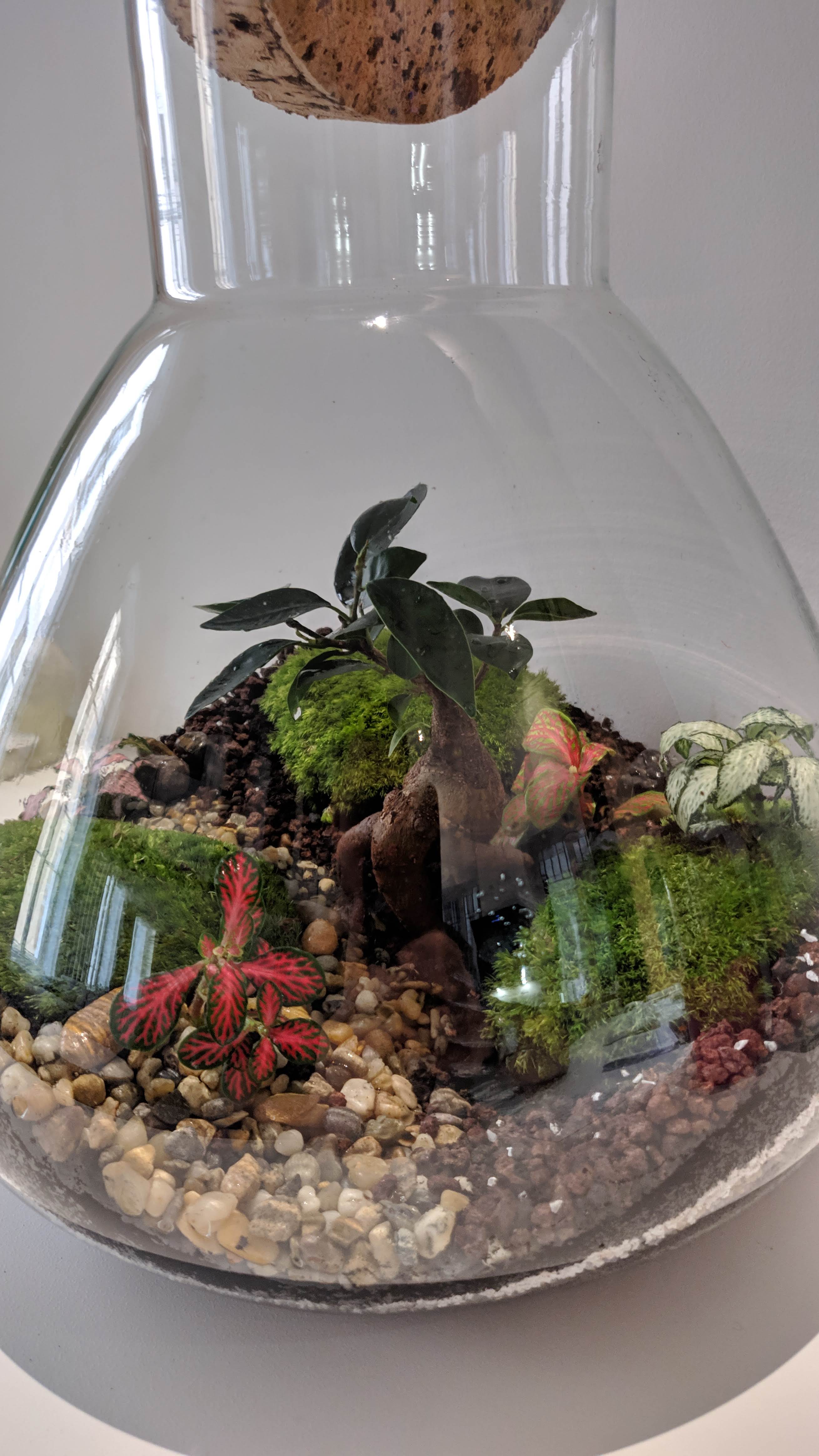 Photo n° 2 de l'avis de Mathieu.O fait le 14/05/2020 à 16:06