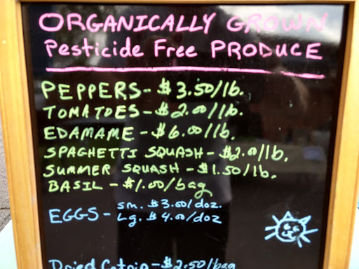 Arts Organization «HART Theatre», reviews and photos, 250 Pigeon St, Waynesville, NC 28786, USA