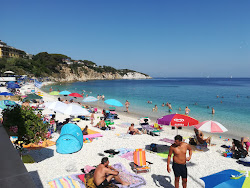 Spiaggia delle Ghiaie'in fotoğrafı ve güzel manzarası