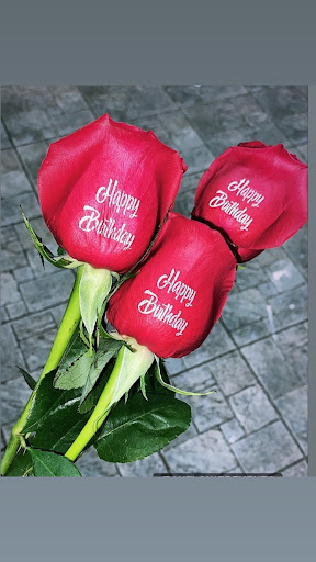 Florist «LV Flower Events», reviews and photos, 6331 Avenue N, Brooklyn, NY 11234, USA