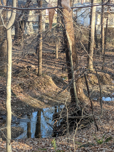 Park «Fairfax Villa Park», reviews and photos, 11399 Park Dr, Fairfax, VA 22030, USA