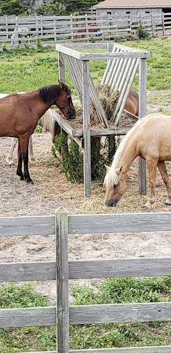 National Park «Cape Hatteras National Seashore», reviews and photos, Cape Hatteras National Park Rd, Nags Head, NC 27959, USA