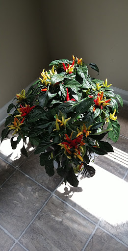 Home Improvement Store «The Home Depot», reviews and photos, 1670 Scenic Hwy S, Snellville, GA 30078, USA