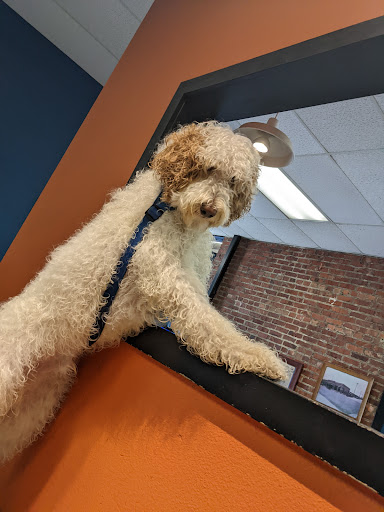 Pet Store «The Pet Works», reviews and photos, 407 4th Ave E, Olympia, WA 98501, USA