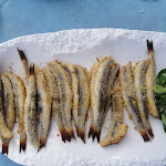 Photo n°1 de l'avis de Lorenzo.l fait le 04/09/2020 à 12:41 sur le  Ristorante Pizzeria Copacabana Pulp Beach à Porto Recanati