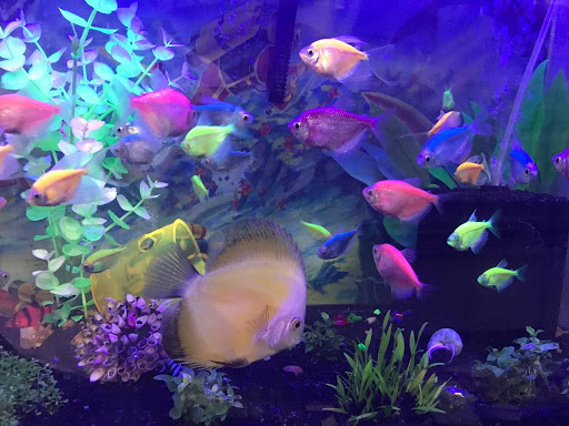 Pet Supply Store «E & M Pet Shop», reviews and photos, 5900 Whittier Blvd, Los Angeles, CA 90022, USA