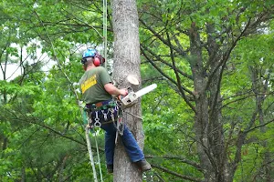 Suncook Valley Tree Services image