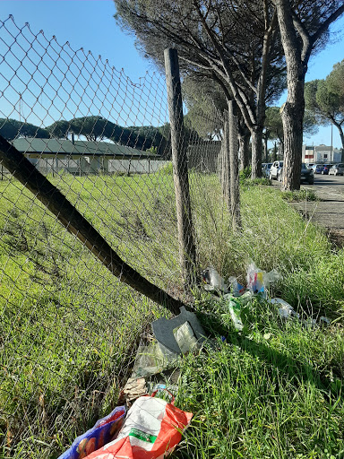 AMA - Centro di Raccolta Mostacciano