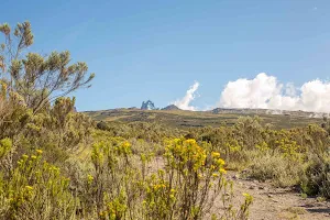 Mt Kenya National Park Gate image