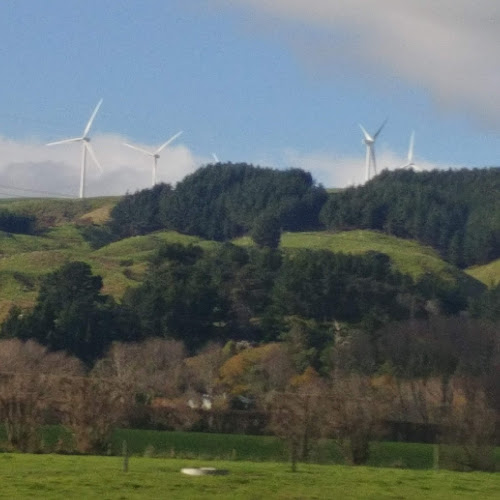 Opinii despre Tielcey Park Equestrian Centre în Palmerston North - Sports Complex