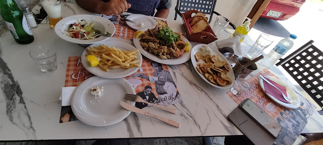 Comentarii opinii despre del lago