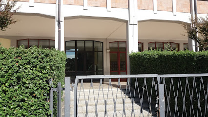 Scuole superiori a Treviso: la guida definitiva per una scelta consapevole