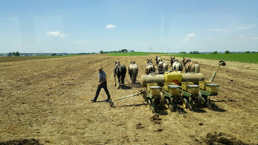 Amish Furniture Store «Peaceful Valley Furniture», reviews and photos, 3347 Old Philadelphia Pike, Intercourse, PA 17534, USA