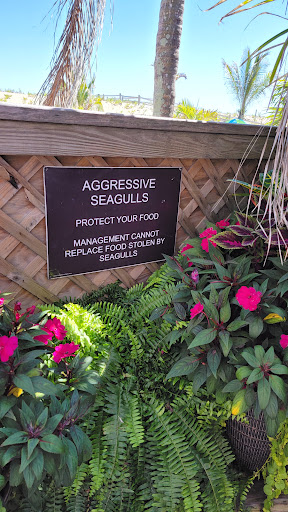 Beach Resort «Sea Shell Resort and Beach Club», reviews and photos, 10 S Atlantic Ave, Beach Haven, NJ 08008, USA