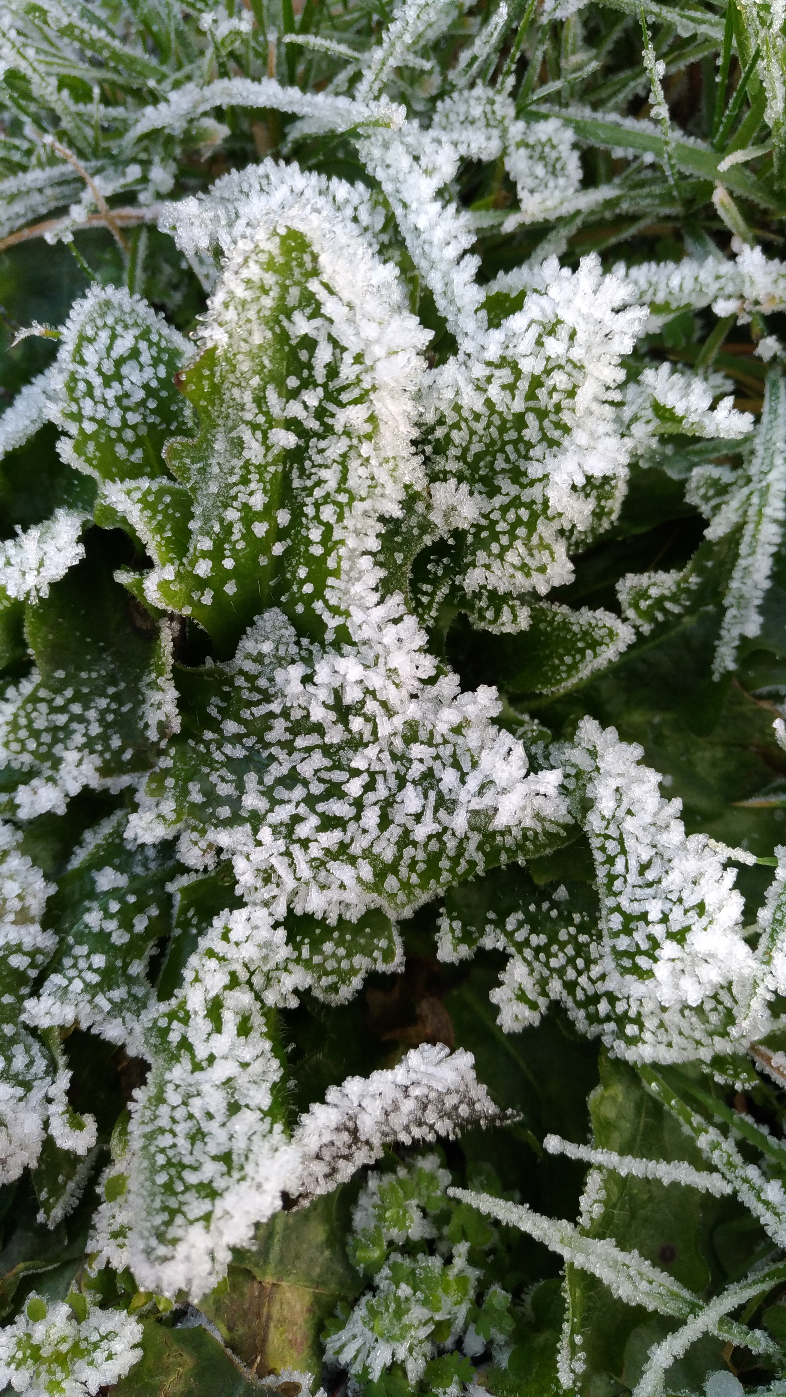 Photo n° 30 de l'avis de Chrystelle.e fait le 21/04/2019 à 16:16