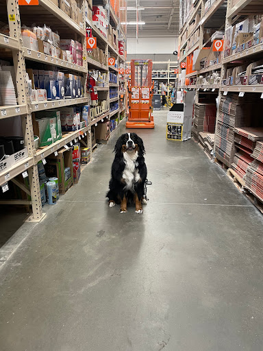 Home Improvement Store «The Home Depot», reviews and photos, 1200 Mayberry Dr, Highlands Ranch, CO 80129, USA