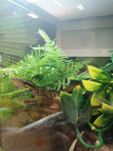 Pet Supply Store «PetSmart», reviews and photos, 73 RHL Blvd, South Charleston, WV 25309, USA