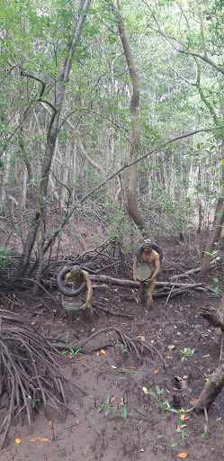 Top 20 cửa hàng play Huyện Cần Giờ Hồ Chí Minh 2022