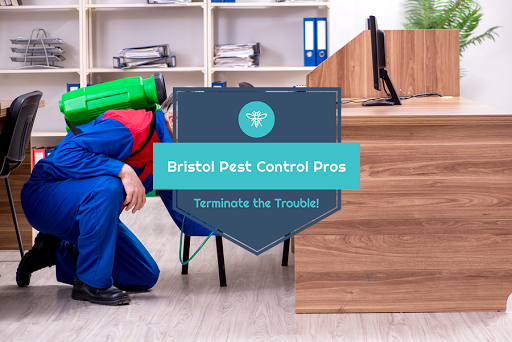 Bristol Pest Control Pros