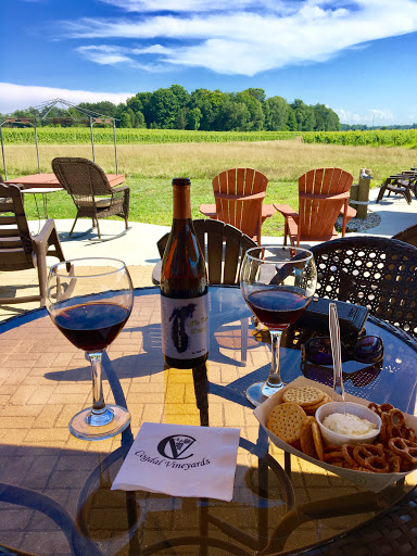 Winery «Cogdal Vineyards», reviews and photos, 7143 107th Ave, South Haven, MI 49090, USA