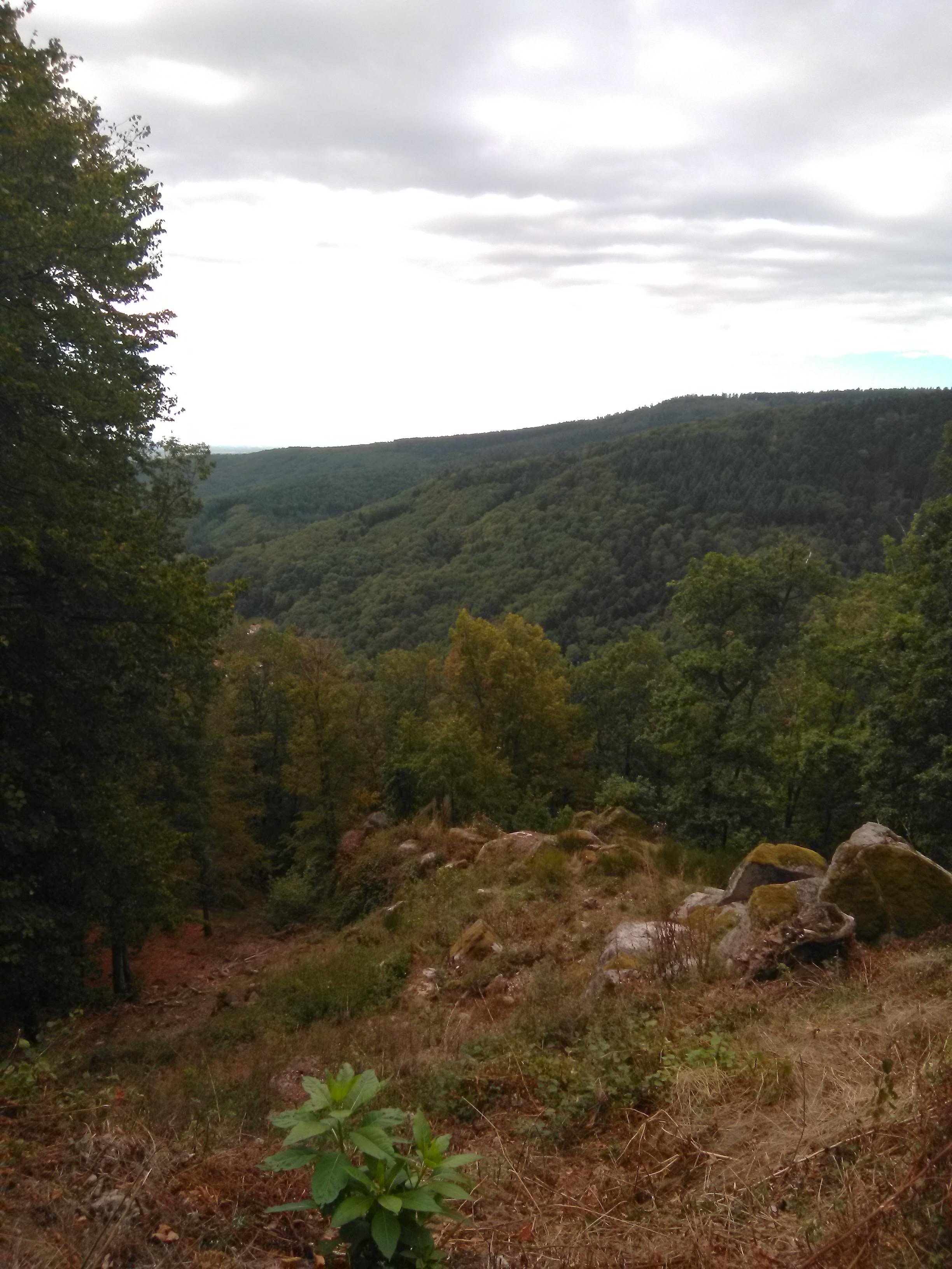 Photo n° 9 de l'avis de Dmitriy.i fait le 27/09/2019 à 10:07
