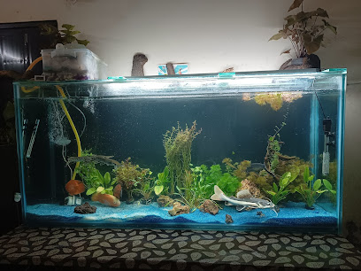Monster Aquariums and Pets