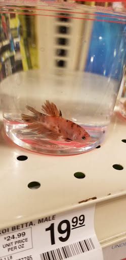 Pet Supply Store «PetSmart», reviews and photos, 15 Dowling Village Boulevard, North Smithfield, RI 02896, USA