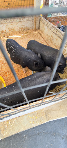 Animal Feed Store «Farmers Feed & Pet Supply», reviews and photos, 1302 E Miner Ave, Stockton, CA 95205, USA