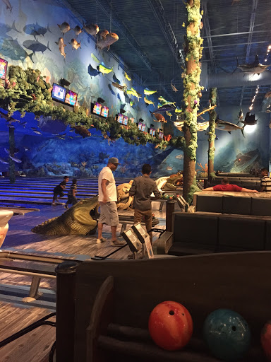 Coffee Shop «Dutch Bros Coffee», reviews and photos, 8552 Madison Ave, Fair Oaks, CA 95628, USA