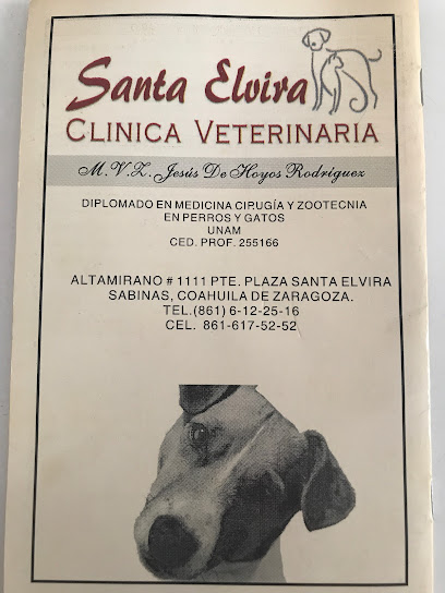 Clinica Veterinaria Santa Elvira