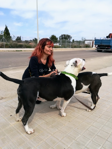 Sociedad Valenciana Protectora De Animales Y Plantas