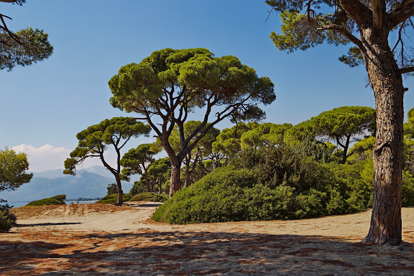 Foto di Spiaggia di Schinias con una superficie del acqua cristallina