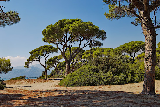 Plage de Schinias