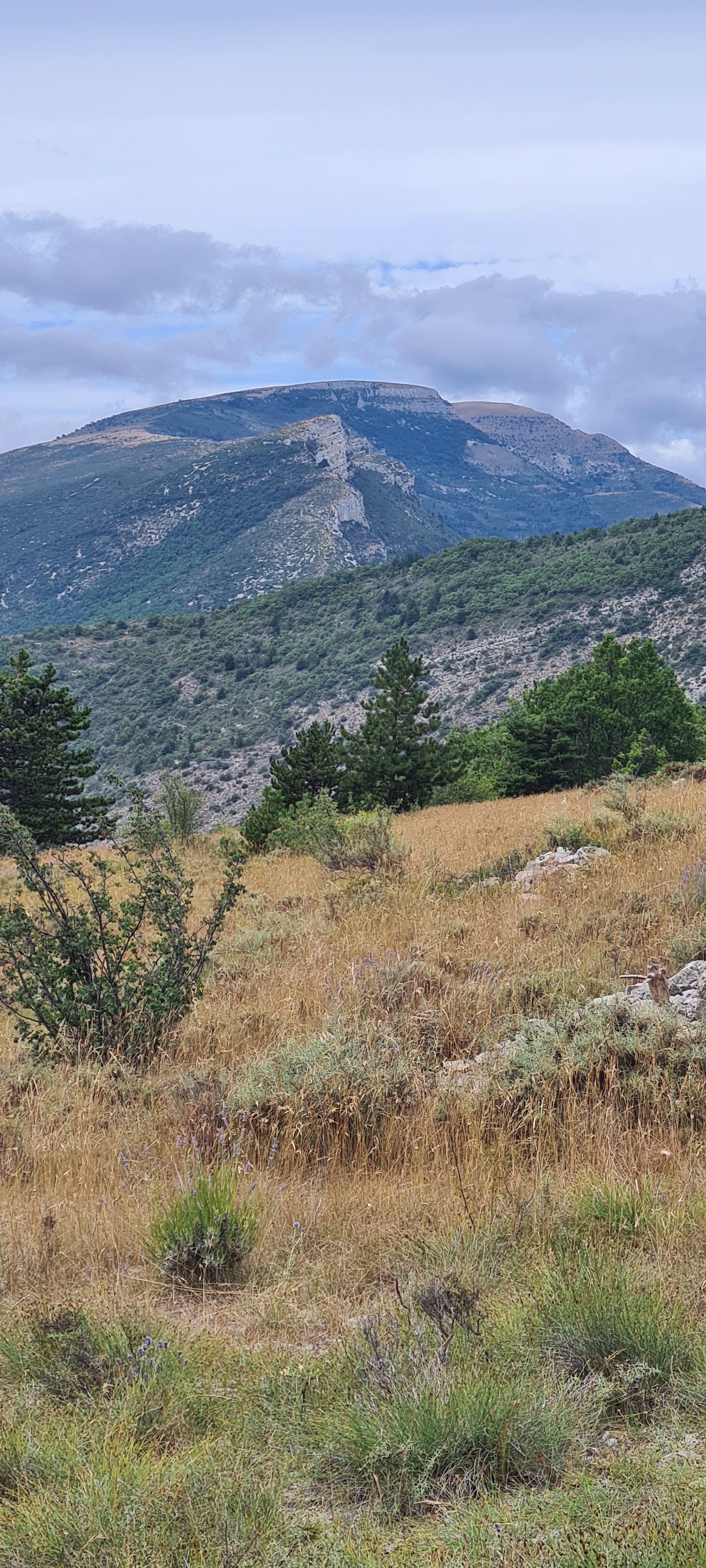 Photo n° 14 de l'avis de Fabien.a fait le 25/07/2023 à 19:28