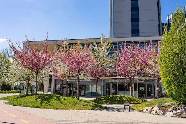 Győr, Egyetem tér 1, 9026