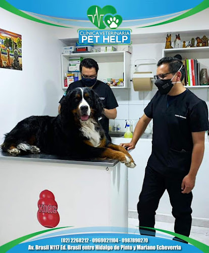 Clinica Veterinaria Pet Help - Quito