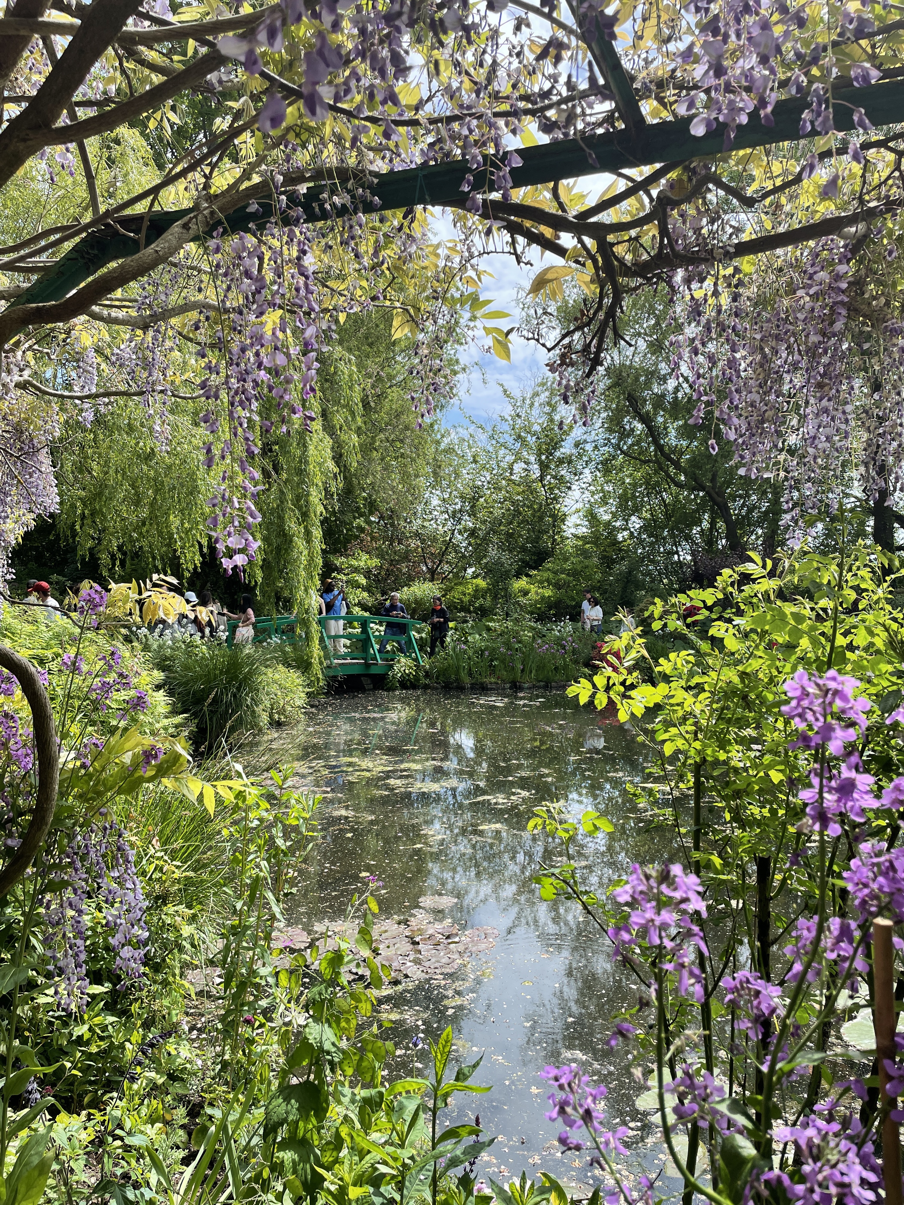 Photo n° 7 de l'avis de Leina.e fait le 22/05/2023 à 13:15